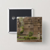 Hanuman Langurs of zwartgelooid, gewoon of grijs Vierkante Button 5,1 Cm (Voorkant /achterkant)