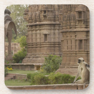 Hanuman Langurs of zwartgezicht, gewone of grijze Onderzetter
