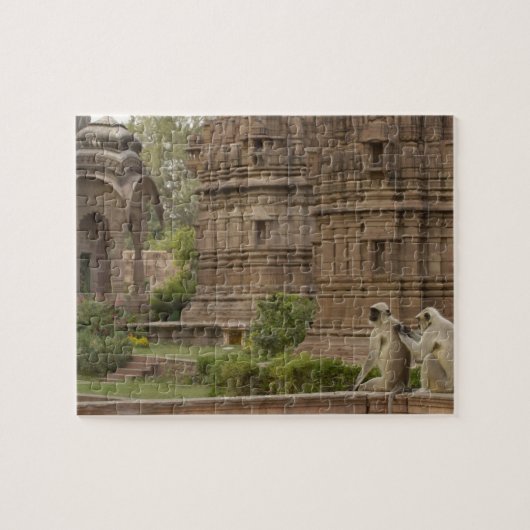 Hanuman Langurs of zwartkop, gewone of grijze Legpuzzel (Horizontaal)