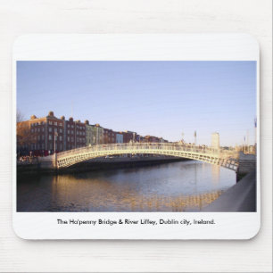 Ha'penny Bridge Dublin City Ierland Muismat