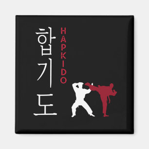 Hapkido Korean Martial Arts Magneet