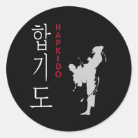 Hapkido Selfdefence Korean Martial Arts