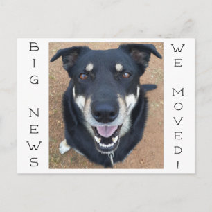 Happie is weg. briefkaart