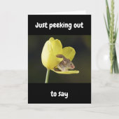 HAPPIEST OF "ALL" BIRTHDAYS WISHED TO "YOU" KAART (Voorkant)