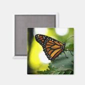 Happines is een vlinder magneet (Voorkant / Achterkant)