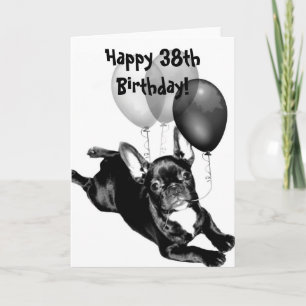 Happy 38th Birthday French Bulldog Wenskaart Kaart