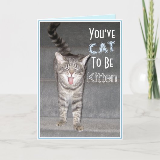 Happy 40th Birthday Funny Cat Kaart (Voorkant)