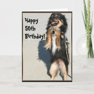 Happy 50th birthday Chihuahua greeting card Kaart