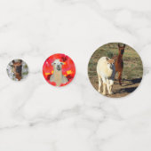 Happy Alpacas Confetti (Voorkanten)
