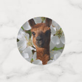 Happy Alpacas Confetti (Kleine voorkant)