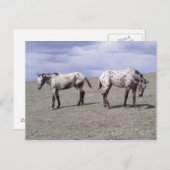 Happy Appys Briefkaart (Voorkant / Achterkant)