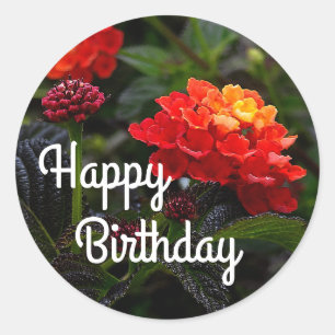 Happy Bday Oranje Red Trailing Lantana #1-2 Ronde Sticker