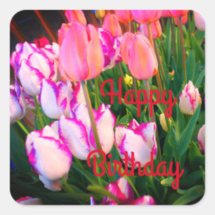 Happy Bday Tulips Peace Flame & Affaire #2 Vierkante Sticker
