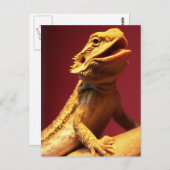 Happy Bearded Dragon Briefkaart (Voorkant / Achterkant)