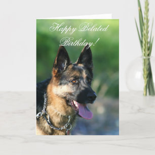 Happy Belated Birthday German Shepherd card Kaart