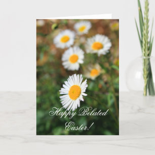 Happy Belated Easter Daisy Flowers wenskaart Feestdagen Kaart