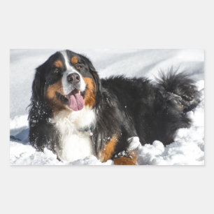 Happy Bernese Mountain Dog in Winter Snow Rechthoekige Sticker
