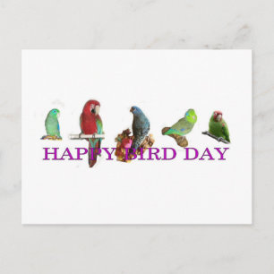 Happy Bird Day Briefkaart