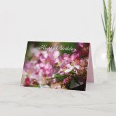 Happy Birthday Apple Blossom, Honey Bee Kaart (Voorkant)