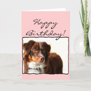 Happy Birthday Australian Shepherd greeting card Kaart