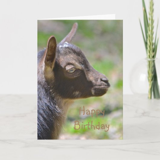 Happy Birthday Baby Goat Kaart (Voorkant)