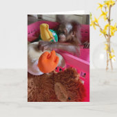 Happy Birthday Baby Orangutan Grabs Speys Kaart (Gele Bloem)