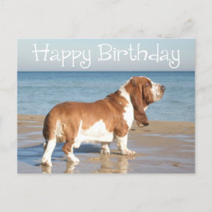 Happy Birthday Basset Hound Puppy Dog Post Kaart