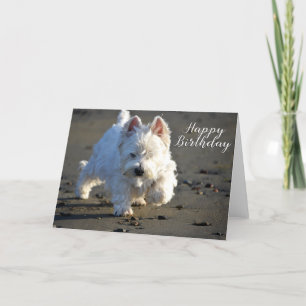 Happy Birthday Beachcombing Westie-fotokaart Bedankkaart