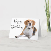 Happy Birthday Beagle Puppy Dog Wenskaart
