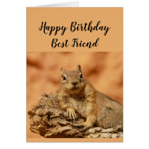 Happy Birthday Best Friend Funny Squirrel Relax
