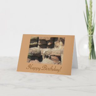 Happy Birthday Bighorn Sheep Kaart
