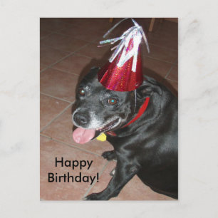 Happy Birthday Black Dog met rood Pet Briefkaart
