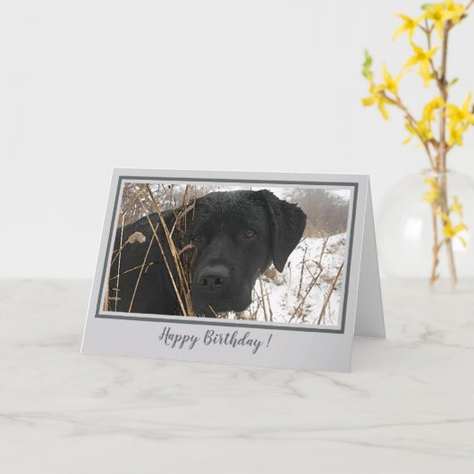 Happy Birthday Black Lab - Grijze Eend Jachthond Kaart (Gele Bloem)