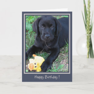 Happy Birthday Black Lab Schattigee puppy eendenho Kaart