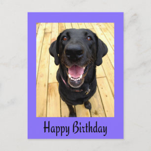 Happy Birthday Black Labrador Retriever Post Kaart