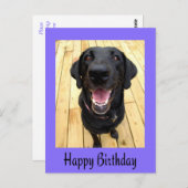 Happy Birthday Black Labrador Retriever Post Kaart (Voorkant / Achterkant)