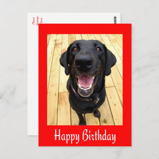 Happy Birthday Black Labrador Retriever Post Kaart (Voorkant / Achterkant)