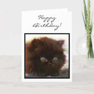 Happy Birthday Black Persian Kitten wenskaart Kaart