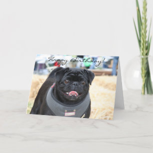 Happy Birthday Black Pug wenskaart Kaart