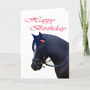 Happy Birthday, Black Welsh Pony. Kaart
