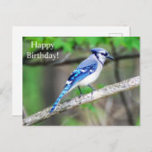 Happy Birthday Blue Jay Briefkaart (Voorkant / Achterkant)
