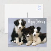 Happy Birthday Border Collie Puppy Dog Card Briefkaart (Voorkant / Achterkant)