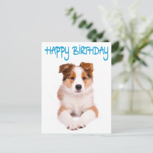 Happy Birthday Border Collie Puppy Dog Post Kaart (Staand voorkant)