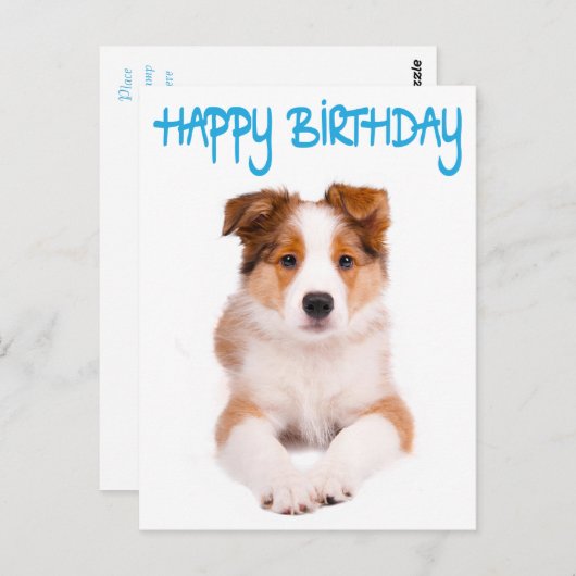 Happy Birthday Border Collie Puppy Dog Post Kaart (Voorkant / Achterkant)