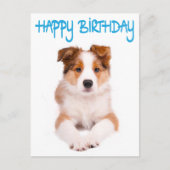 Happy Birthday Border Collie Puppy Dog Post Kaart (Voorkant)
