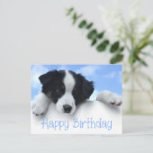 Happy Birthday Border Collie Puppy Dog Post Kaart (Staand voorkant)