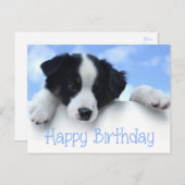 Happy Birthday Border Collie Puppy Dog Post Kaart (Voorkant / Achterkant)