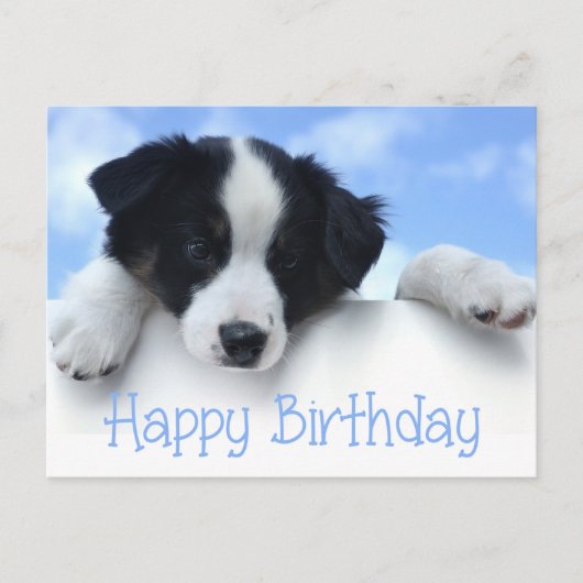 Happy Birthday Border Collie Puppy Dog Post Kaart (Voorkant)