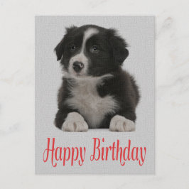 Happy Birthday Border Collie Puppy Dog Post Kaart