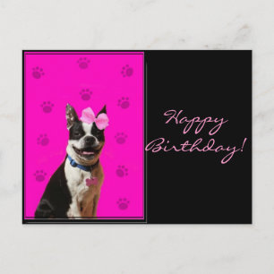 Happy Birthday Boston Terrier Briefkaart